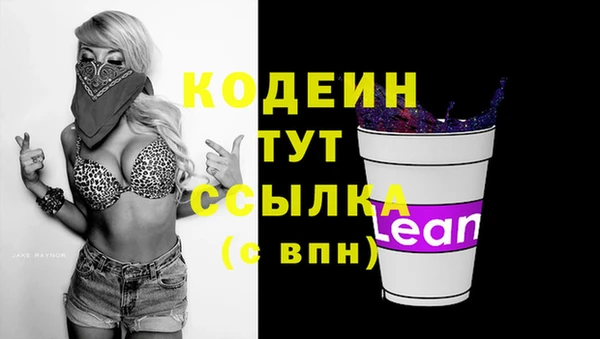 прущие грибы Киренск