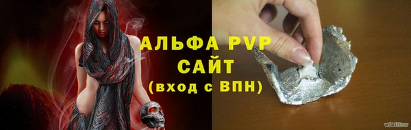 прущие грибы Киренск