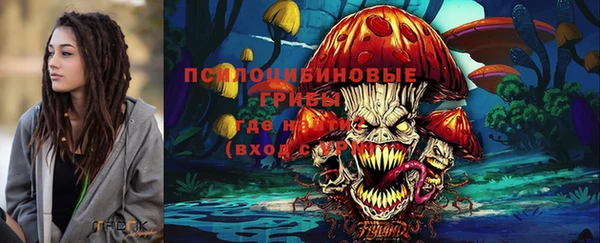 прущий лед Киреевск
