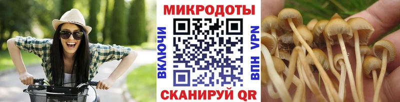 Псилоцибиновые грибы MAGIC MUSHROOMS  darknet наркотические препараты  Рязань  omg вход 