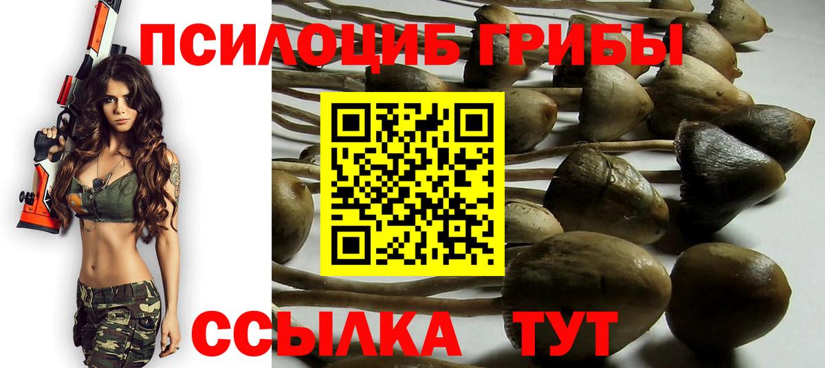 Рязань  Псилоцибиновые грибы MAGIC MUSHROOMS  Галлюциногенные грибы Magic Shrooms  Вход с VPN 